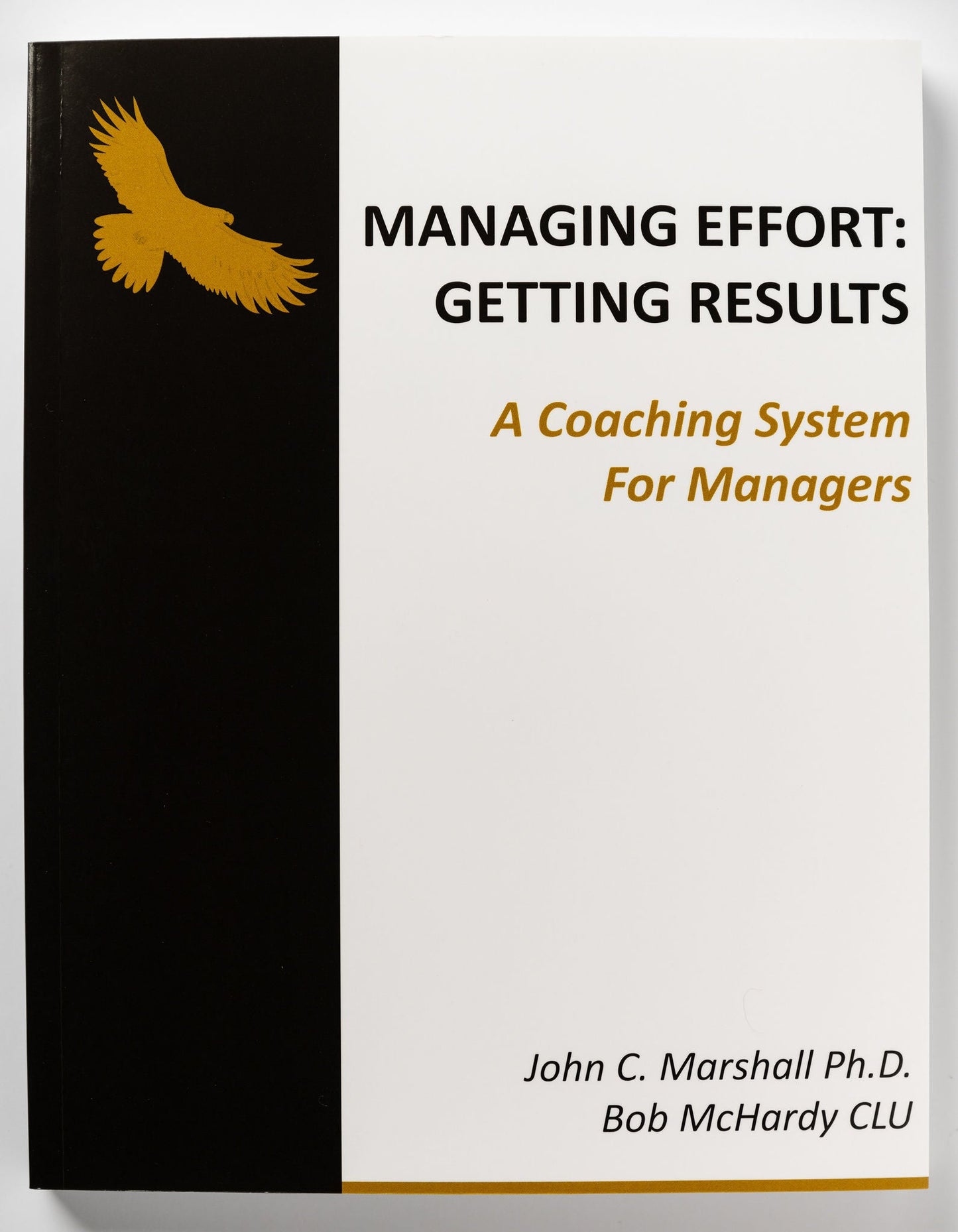 Managing Effort: Getting Results – A Coaching System for Managers (USD)